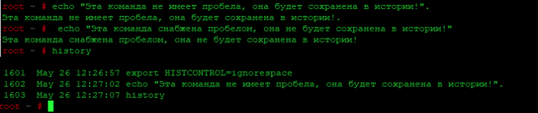 Linux выполнить команду без сохранения в истории