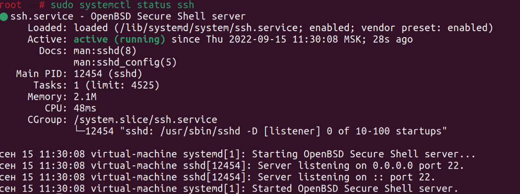 Ssh status