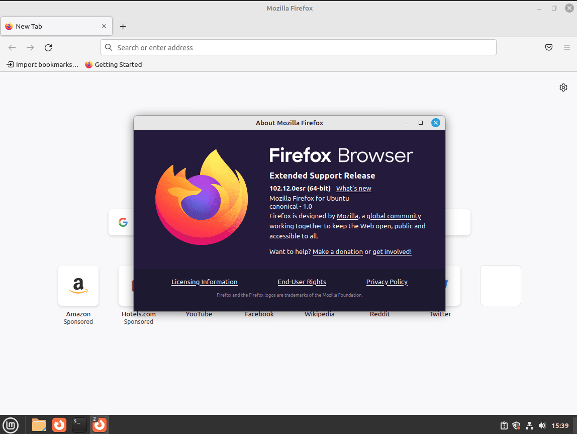 Как установить Firefox ESR в Linux Mint 21 - General Software