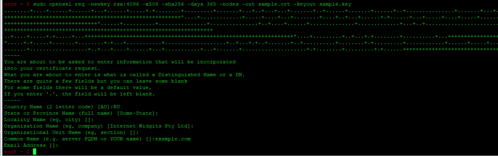 sudo openssl req -newkey rsa:4096 -x509 -sha256 -days 365 -nodes -out sample.crt -keyout sample.key